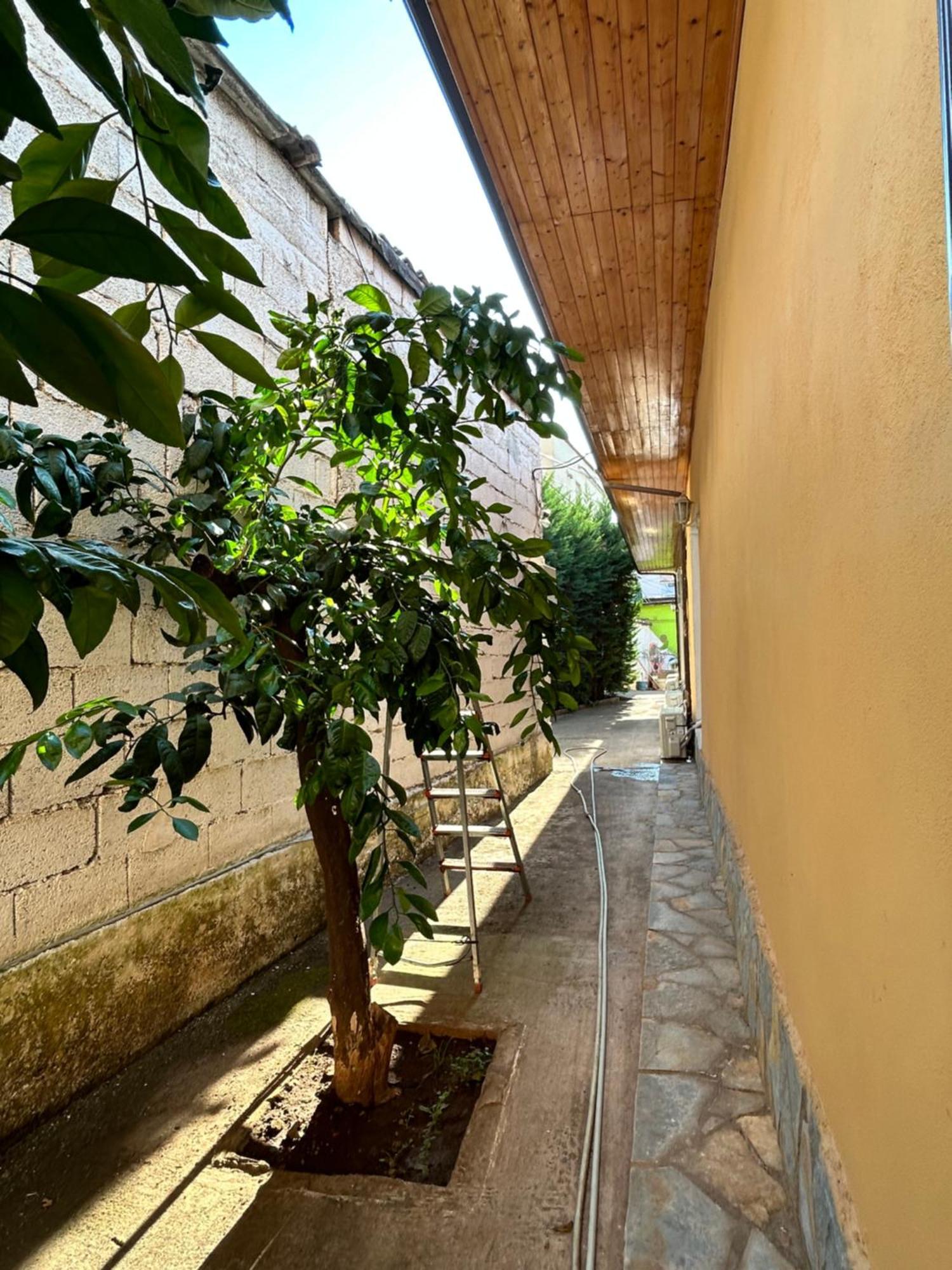 D1 Hostel Tirana Exteriör bild